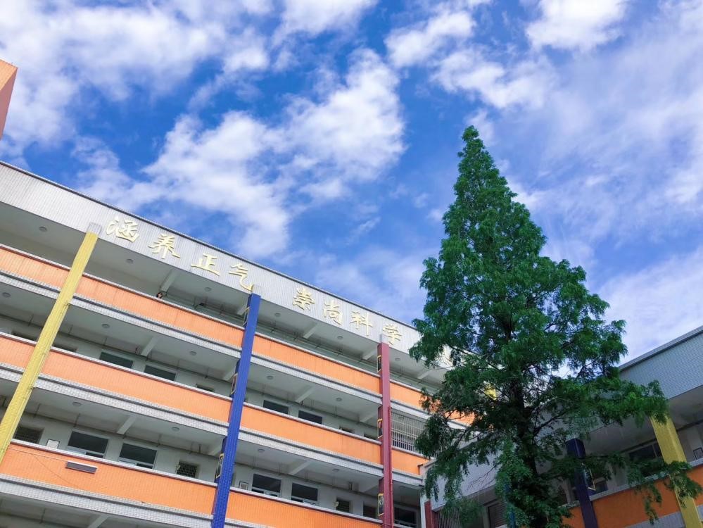陽光校園的藍天
